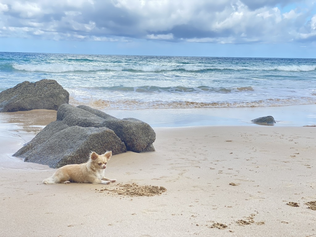 Phuket beach atmosphere Thailand